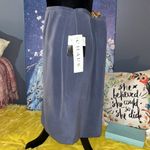 CHAUS NEW YORK NWT Chaus Size 12 Blue Silk Skirt Photo 2