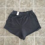 Aerie  Grey Beach Party Shorts Photo 2