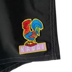 Bird well Beach Britches Black Board shorts Kauai patch size 16 Photo 1