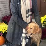 Calvin Klein dark grey dress coat high collar Photo 0