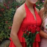 Impeccable Pig Dress Photo 0