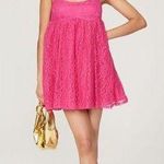 LOUNA Pink Lace Empire Waist Scoop Neck Lace Detail Babydoll Mini Dress Size M Size M Photo 0