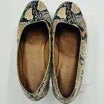 Madewell The Cory D-Orsay Flat Snake Embossed Leather Women’s Size 6 Slip On Photo 8