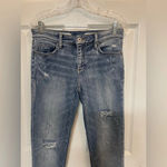 Pilcro ANTHROPOLOGIE  SLIM BOYFRIEND JEANS DISTRESSED SIZE 26 Photo 1