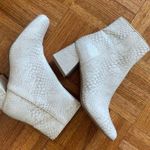 Steve Madden Darma Phyton Snakeskin Block Heel Ankle Boots Chelsea Boots Ivory Photo 3