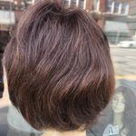 Human hair chestnut brown highlights short wig bob Photo 3