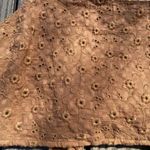 American Eagle  XL Brown Square Neck Embroidered Crop Tank top tie back floral Photo 6