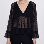 ZARA  Black Sheer Velvet Polka Dot V Neck Plunge Bell Sleeve Blouse Swiss Dot Top Photo 0