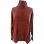 Eileen Fisher Merino Jersey Turtleneck Sweater Regenerative wool in Spice Photo 1