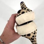 Rothys Women's Desert Cat Cheetah Print Slip Photo 4