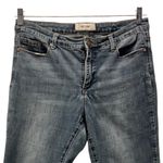 Jones Studio Capri Jeans 10 Blue Embroidered Cottagecore Boho Bohemian Hippie Medium Wash Photo 2