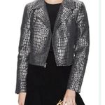 Diane Von Furstenberg  DVF Angie Nightfall Silver Metallic Moto Jacket Sz 2 snake Photo 12