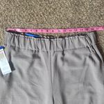 Hilary Radley Light Gray Trousers Photo 4