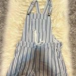 Wall Flower Striped Overall Shorts Photo 0