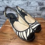 Michael Kors EUC  Animal Print Wedge Sandals Size 10M (Shoe Bag Included) Photo 1