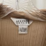 Allison Taylor FINAL MARKDOWN  crinkle blouse large Photo 3