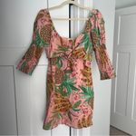 Farm Rio  Pineapple Dress fruits pink mini smocked Photo 1