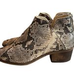Dolce Vita Women’s Bootie Karsen Back Zip Faux Snakeskin Pointed Toe Size 8M Gray Photo 1