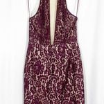 Keepsake The Label One Night Lace Dress: Fig (Wine/Burgundy) Photo 4