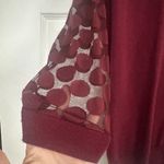 Anthropologie Sparrow Sheer Polka Dot Sleeve Sweater Top Size Medium Photo 2