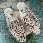 DV Dolce Vita Elaine leopard print slip on espadrilles open heel flats, size 9M Photo 2