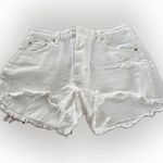 ZARA  High waist Distressed Shorts Size 6 Photo 8