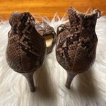 Michael Shannon -  Brown Snakeskin Heels Photo 2