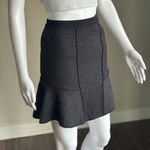 Sandro  Paris Jacquard Ruffle Textured Skirt Size 1 Photo 2