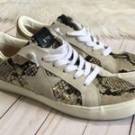 Steve Madden  Pursued snake print sneakers size 10 Photo 3