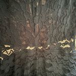 Windsor Black Lace Mini Dress Size M Photo 4