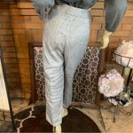 Talbots WOMAN SILVER LINEN METALLIC THREAD CROPPED LEG SIGNATURE TROUSERS (18W) Photo 4