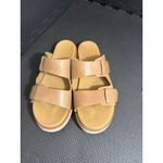 Nisolo Ella Go Photo 1