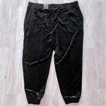 Velvet Black Jogger Pants 0X Size XL Photo 1