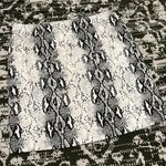 She & Sky Boutique Snakeskin Mini Skirt Photo 0