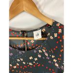 CAbi 3828 Muse Floral Print Dress Size Small Drop Waist Dress Photo 3