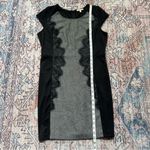 Mystree Elegant Black and Gray Lace Panel Knit Dress Cap Sleeve Large Photo 6