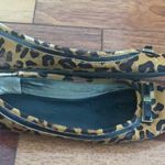 Banana Republic | Animal Print Calf Hair Flats 6 Photo 1