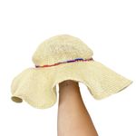 American Eagle Straw Floppy Beach Hat Photo 5