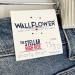 Wall Flower NWT Stellar High Rise Shorts in Jaylene Color Women’s Size 10 Photo 7