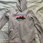 Patagonia Hoodie Photo 0