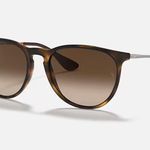 Ray-Ban  Erika Classic Sunglasses Photo 1