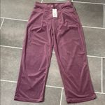 Molly Bracken Molly‎ Bracken High Waist Velvet Corduroy Pant size Small Photo 1