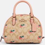 Coach 🍓 Satchel🍓 Photo 0