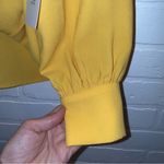 Fifteen Twenty NEW Blouson Crepe Top Mustard Blouse Photo 4