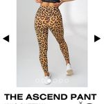 Balance Athletica Ascend Pant King Cheetah Photo 1