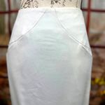 Zac Posen  Midi Skirt Vanilla size 10 Photo 3