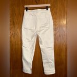 Everlane The Utility Straight-Leg Pant-Bone Photo 3