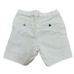 Abercrombie & Fitch  seersucker chino shorts 26 Photo 2