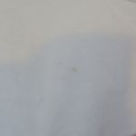 PINK - Victoria's Secret  sequined graphic crew neck t-shirt with pink on front and pink down short sleeves in white, gold and black size large. Photo 3