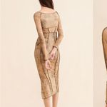 Urban Outfitters  trinity sheer midi dress Photo 1